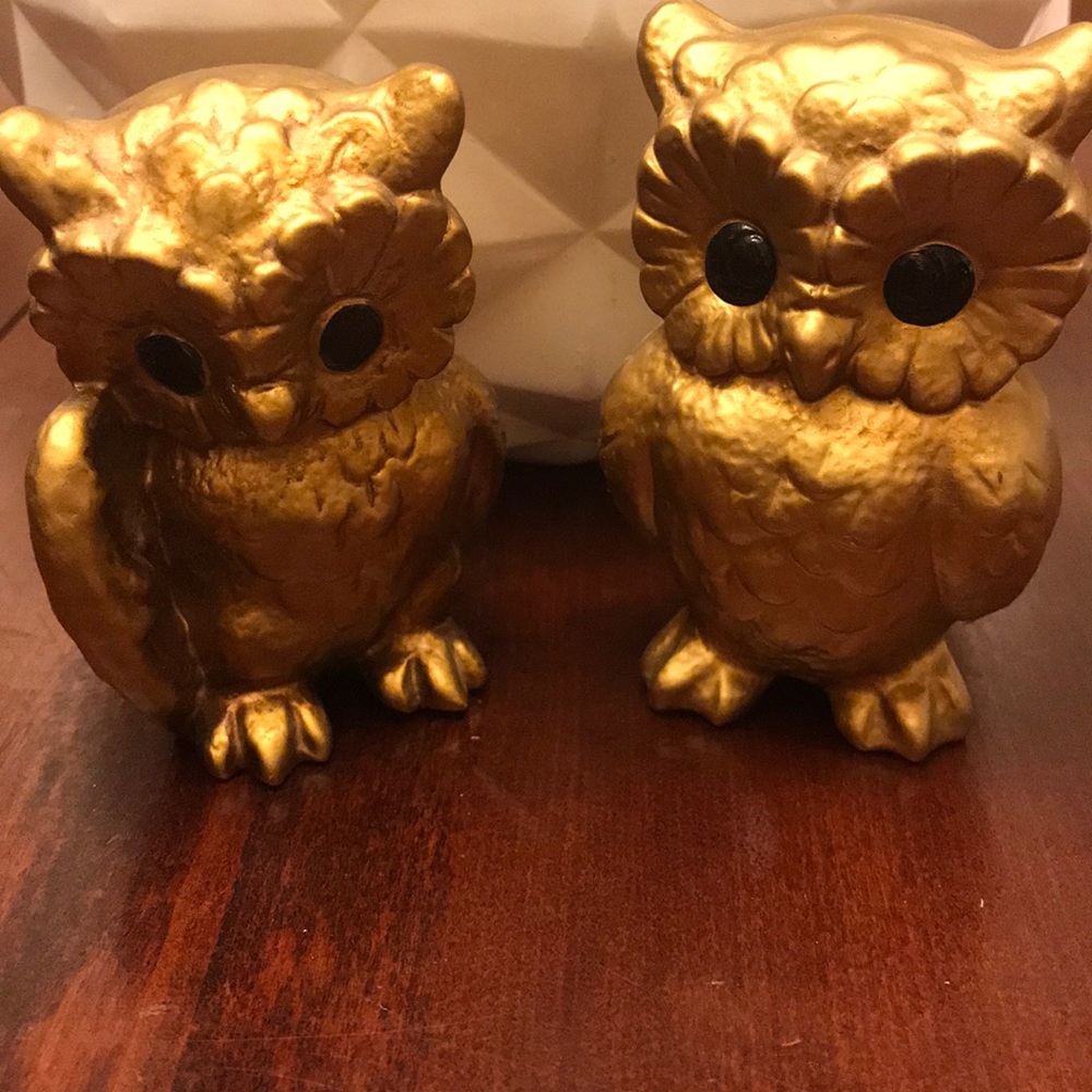 Vintage pair of OWLS